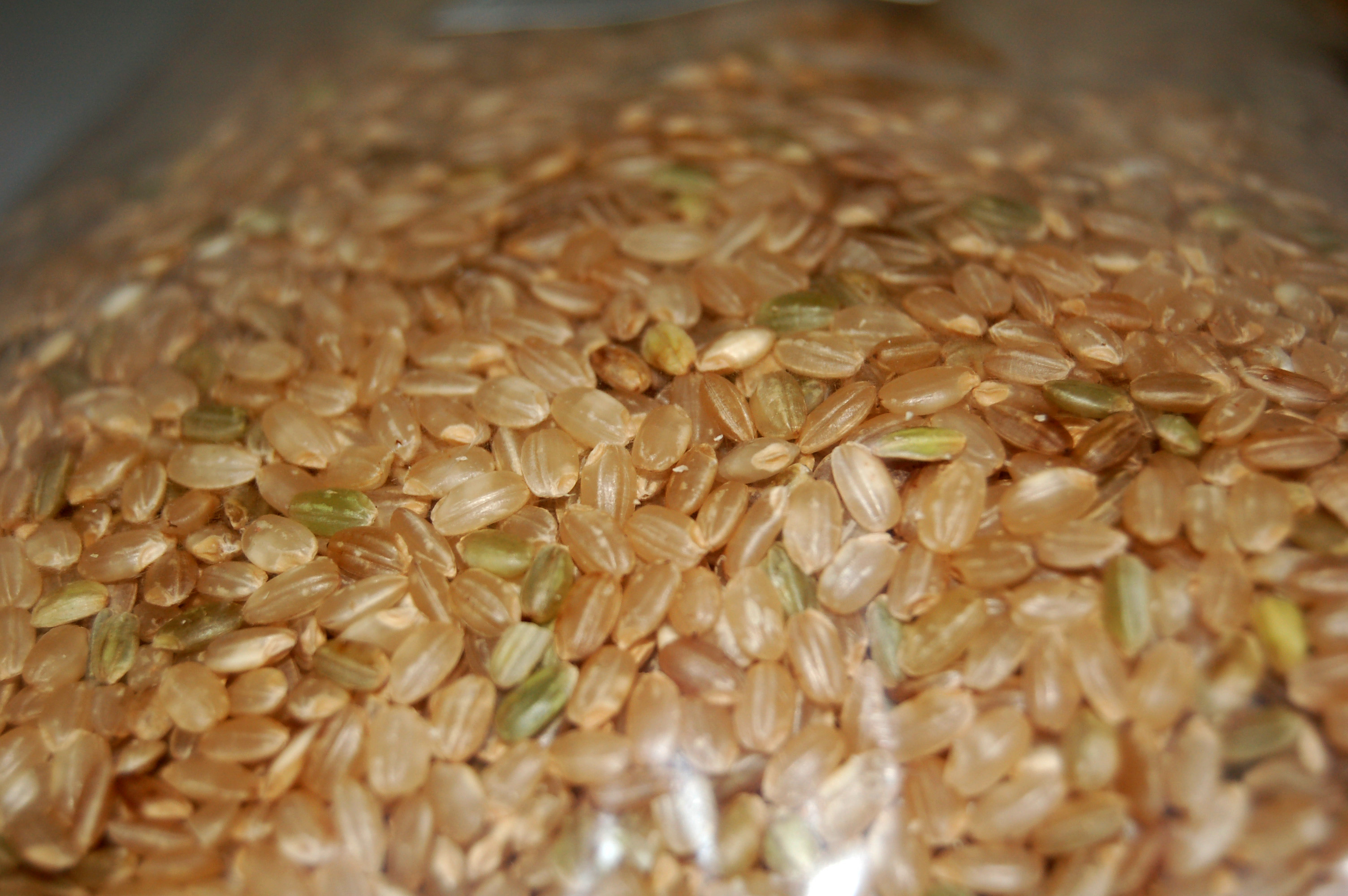 Image of Brown Rice