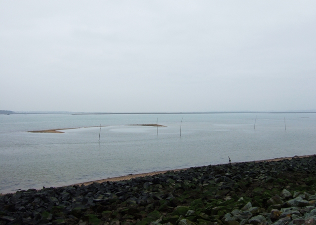 File:Colne Estuary - geograph.org.uk - 1181971.jpg