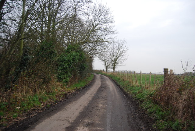 File:Cooper Street Drove - geograph.org.uk - 3467844.jpg