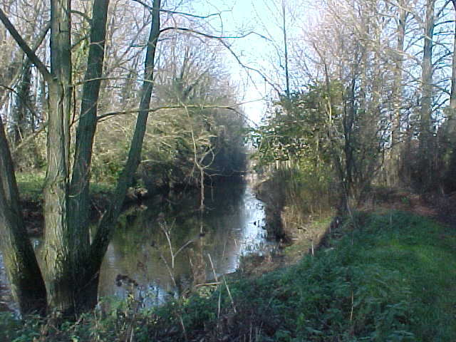 File:Footpath beside the River Avon - geograph.org.uk - 6000858.jpg