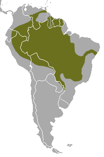 Distribuição da ariranha na América do Sul