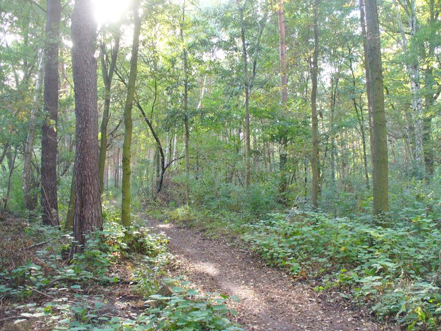 File:Grosser Zug - Uferweg (Lakeside Path) - geo.hlipp.de - 42507.jpg