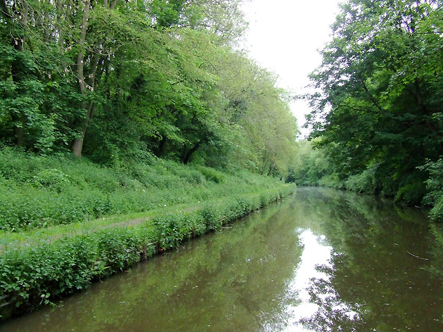 File:Grub Street Cutting north of Norbury, Staffordshire - geograph.org.uk - 1392229.jpg