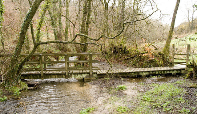 File:Higher Upcott Wood - geograph.org.uk - 732077.jpg