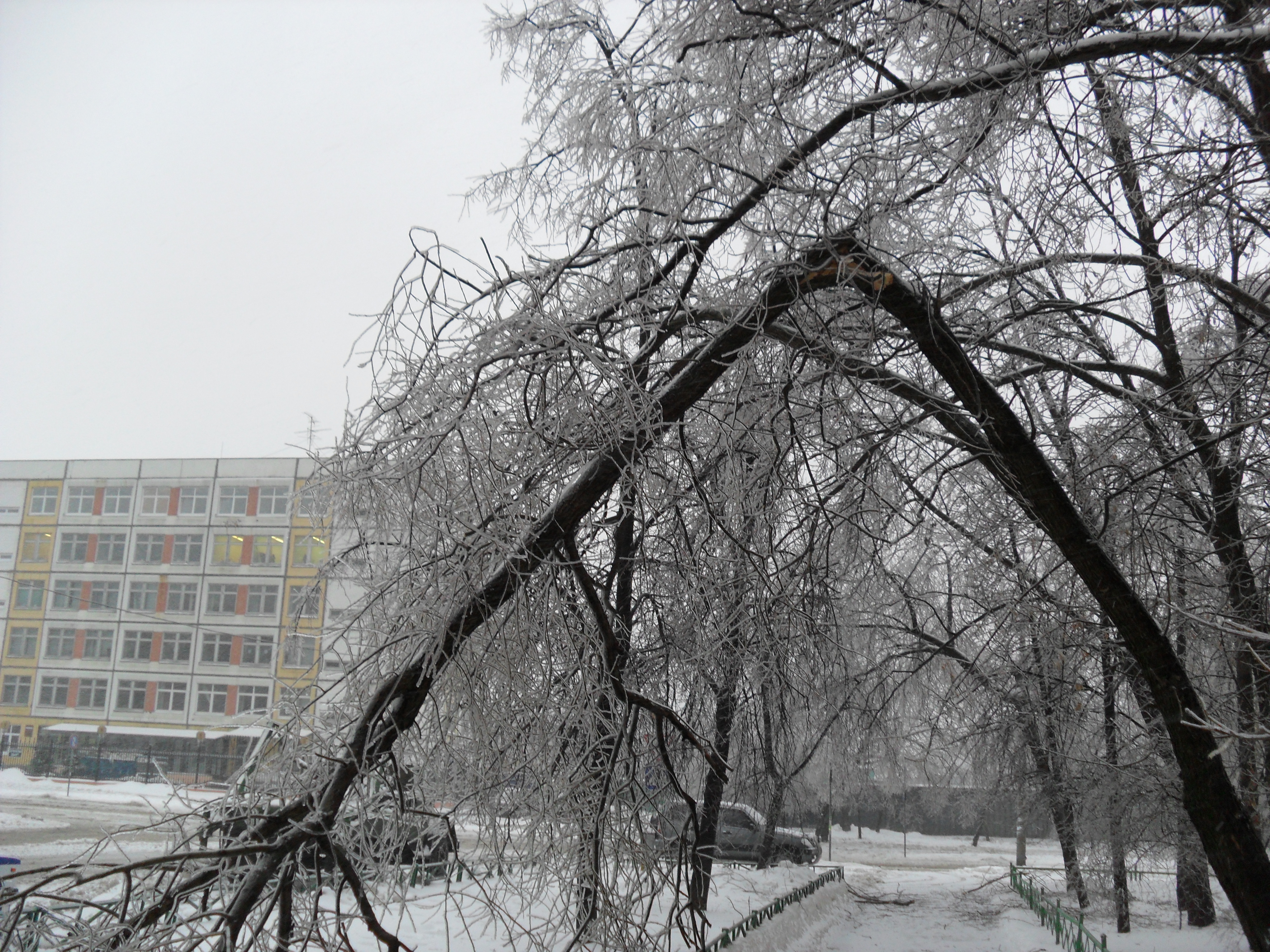 ледяной дождь в москве 2010