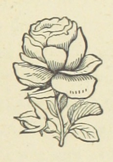 File:Image taken from page 267 of 'Silverton Court; a tale, etc' (11094074244).jpg