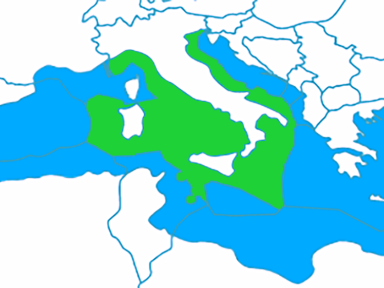 File:Italy-Exclusive-Economic-Zone-Map (cropped).png