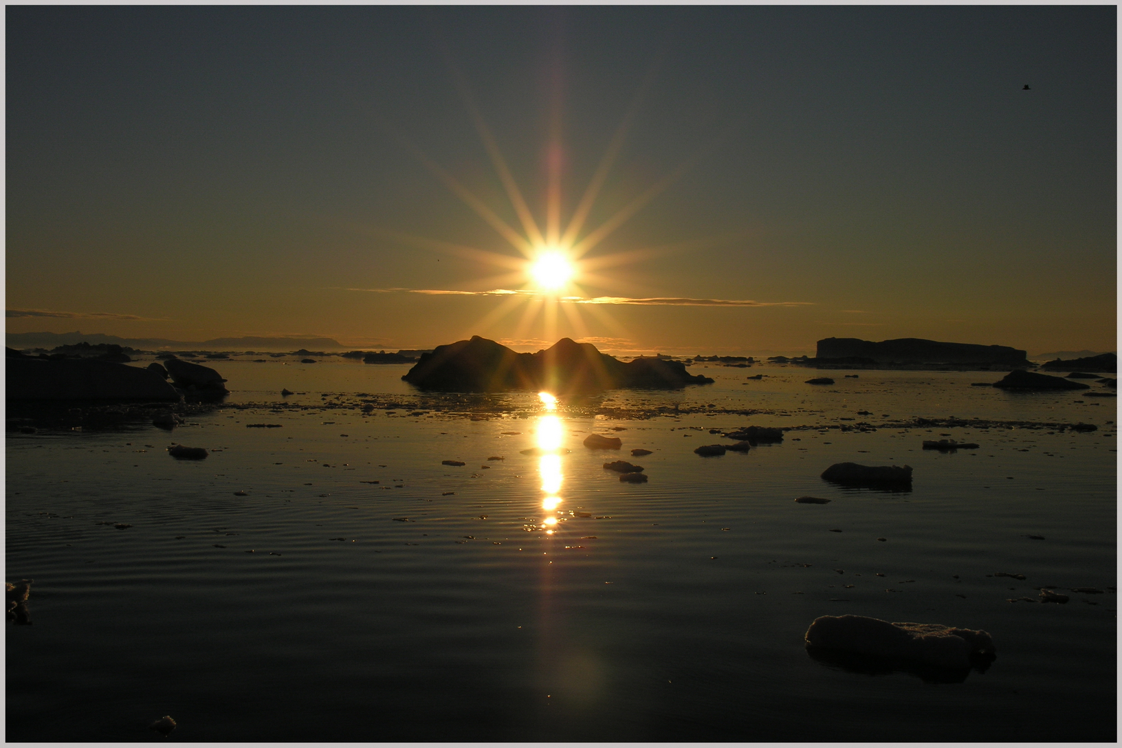 Под полуночным солнцем. Kaanaak, Greenland Sun.