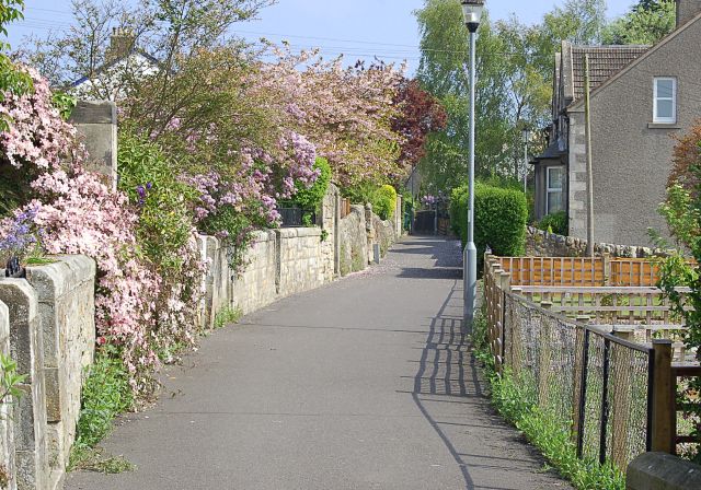 File:Ladebraes Walk - geograph.org.uk - 423694.jpg