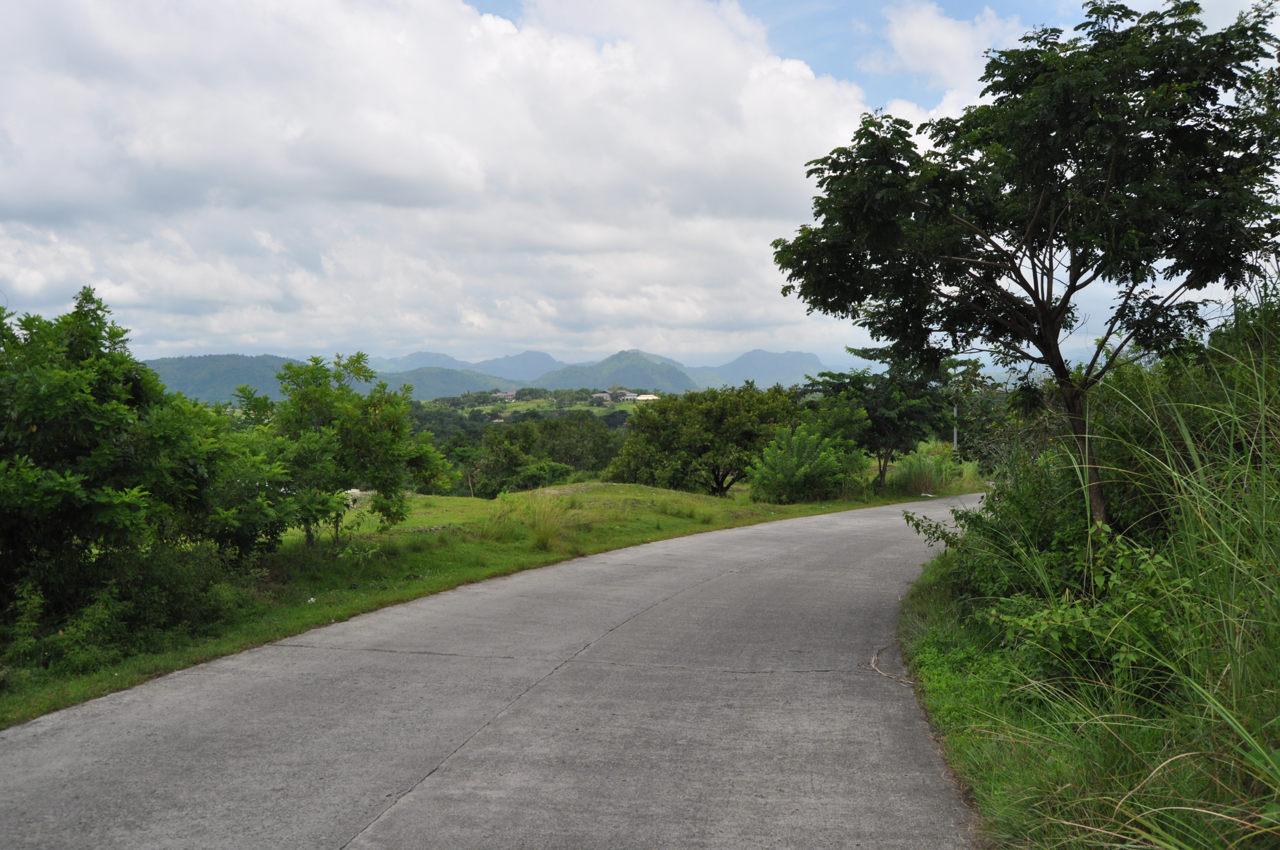 Local roads