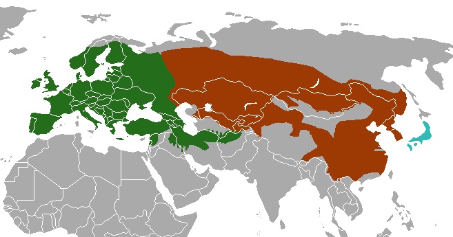 Файл:Meles species range map.jpg