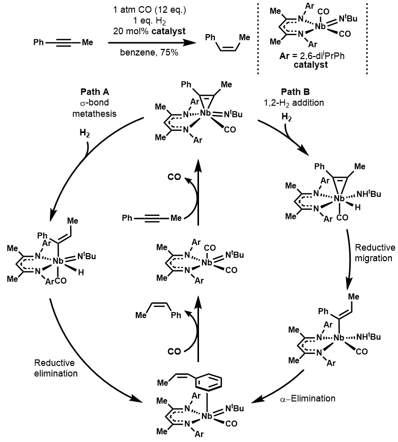 Nb(III) catalyzed alkyne semihydrogenation NbIII Semihydrogenation catalytic cycle.png