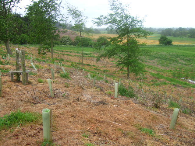 File:New nature reserve - geograph.org.uk - 442145.jpg