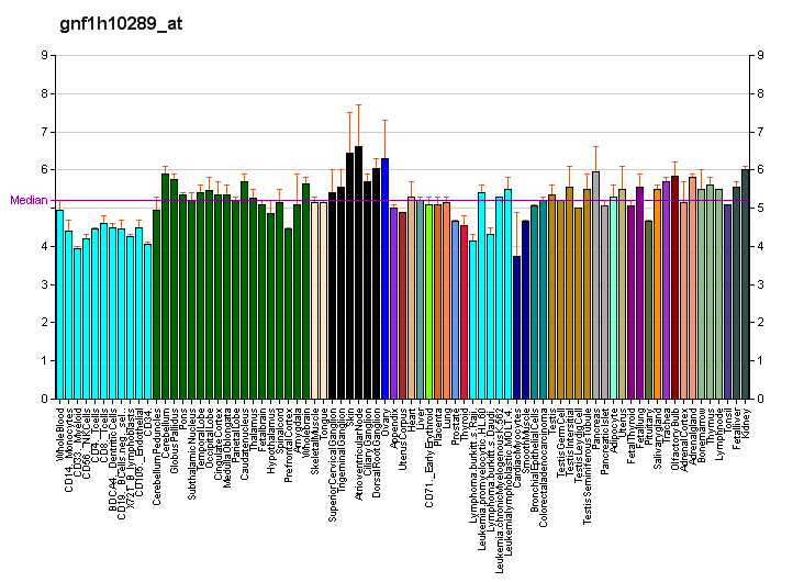 File:PBB GE TAAR1 gnf1h10289 at fs.png