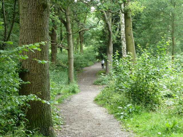 File:Public footpath in Spring Park woods - geograph.org.uk - 4148003.jpg