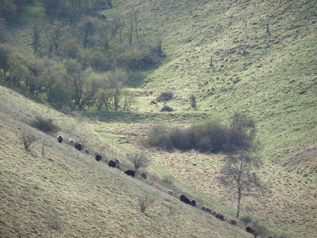 Rifle Range - Disused - geograph.org.uk - 1235129