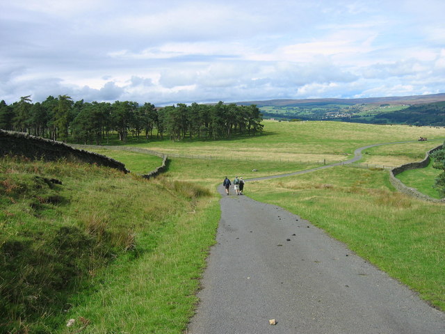 File:Road leading from Allotment House - geograph.org.uk - 234562.jpg