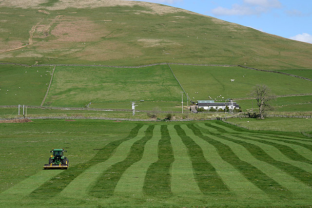 File:Rolling a field at Abington - geograph.org.uk - 1305854.jpg