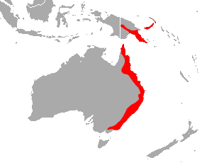 File:Smaller Horseshoe Bat area.png