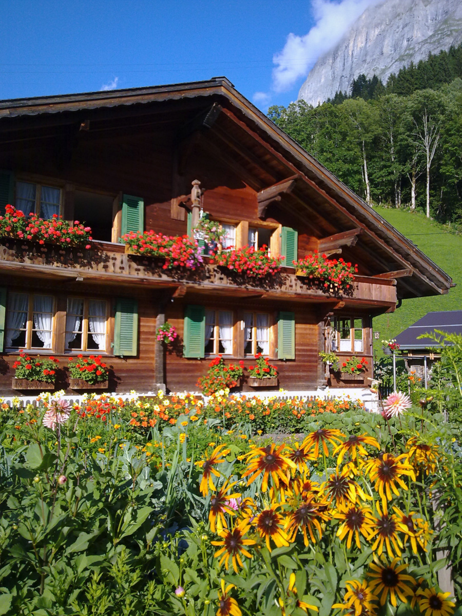 Chalet Definition & Meaning - Merriam-Webster