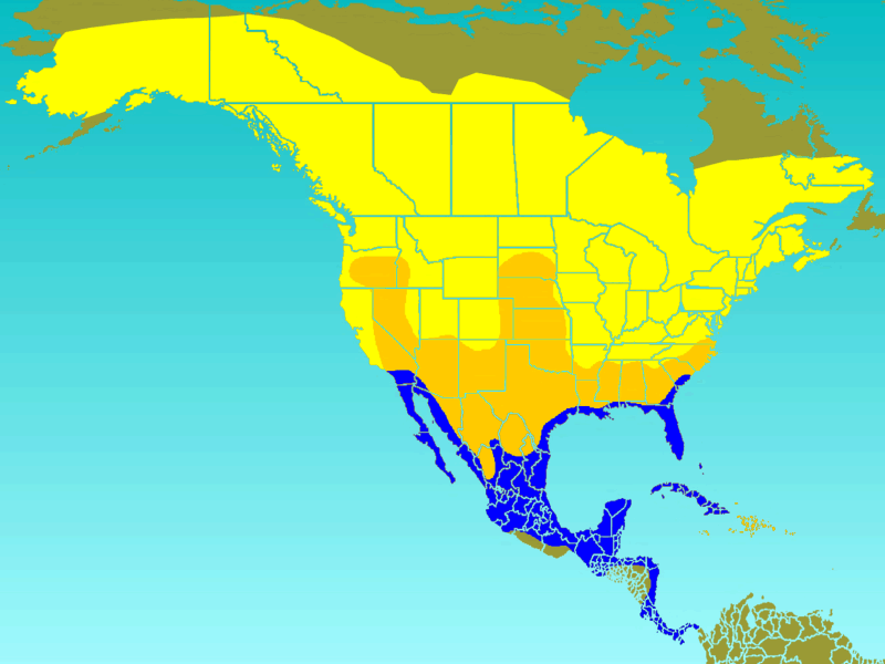 File:Tree Swallow-rangemap.gif