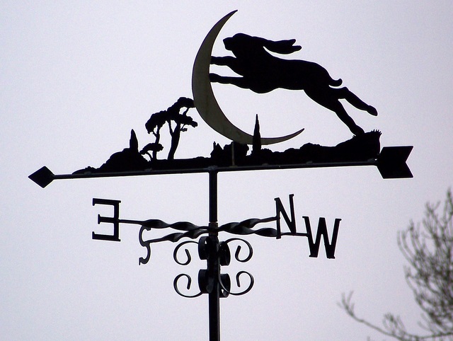 File:Weather vane at Ryall's Lodge - geograph.org.uk - 1141750.jpg