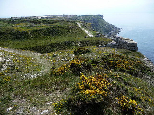 West Cliff from Tout Quarry - geograph.org.uk - 1343280