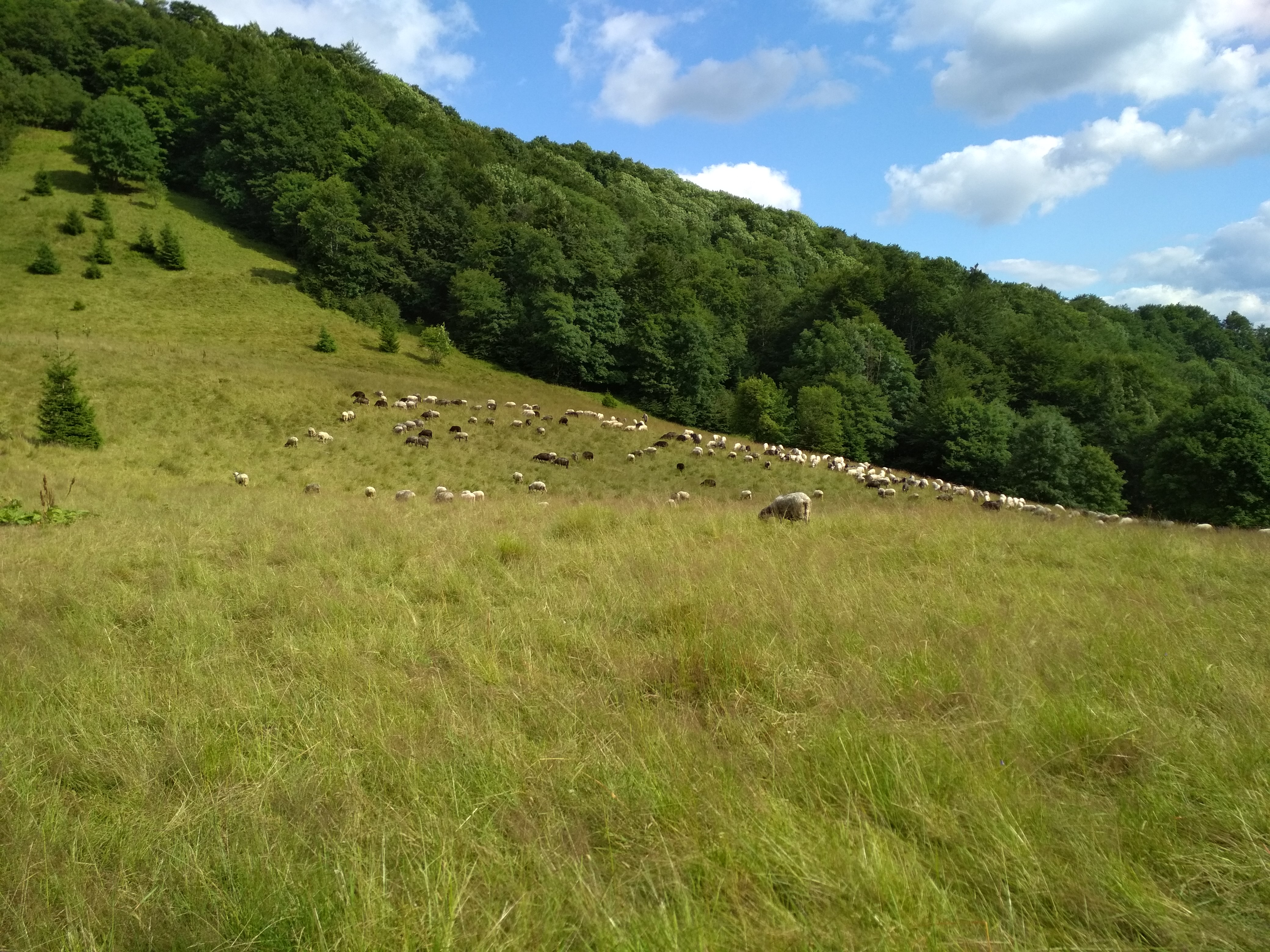 Село зеленое крым