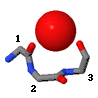 Niche (protein structural motif)
