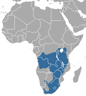 File:African Striped Weasel area.png