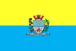 File:Bandeira Irapuã.png