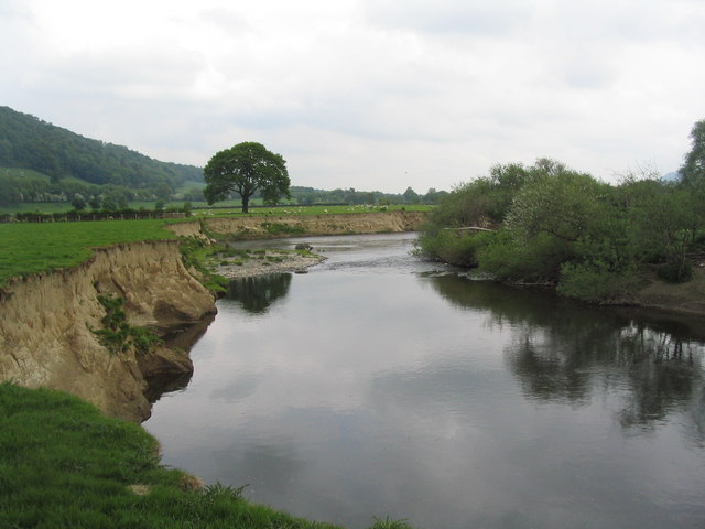 File:Banks of the River Severn - geograph.org.uk - 839919.jpg