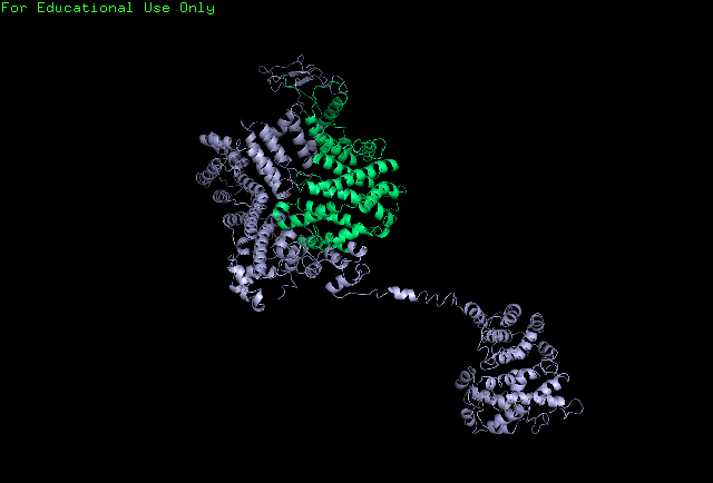 File:C5orf36 Predicted Tertiary Structure.png