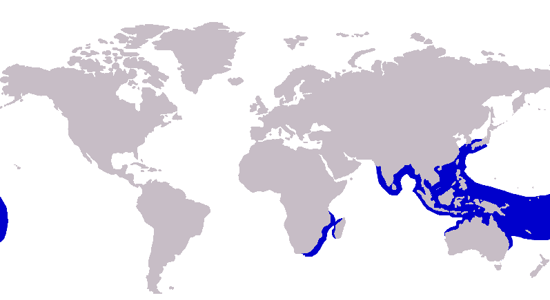 File:Carangoides hedlandensis distribution.png