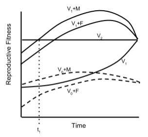 Case 3. At t1, the male benefits from deserting the brood because V1+M > V2. At this point, the female's fitness equals V1. After this, the female cannot improve her fitness past V1 by deserting, so she chooses to stay and provide care. V represents reproductive success (see text for more details). Case 3 of Mate Desertion Model (Adapted from Lazarus 1990).png