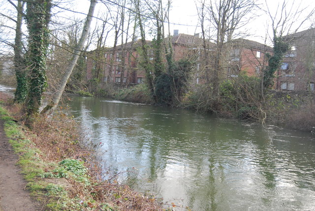 File:Castle Mill Stream - geograph.org.uk - 4043855.jpg