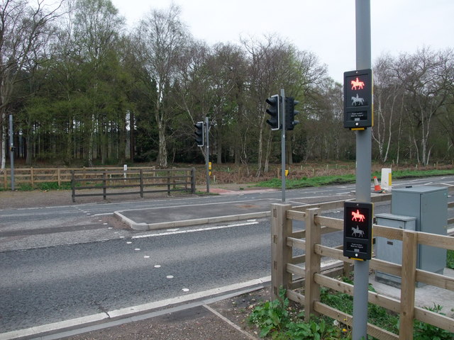 Crossing file. School Hollybush Cwmbran.