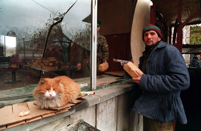 File:Evstafiev-chechnya-bread-cat.jpg