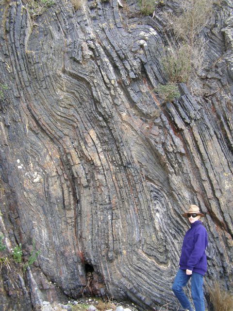 Fold (geology) - Wikipedia