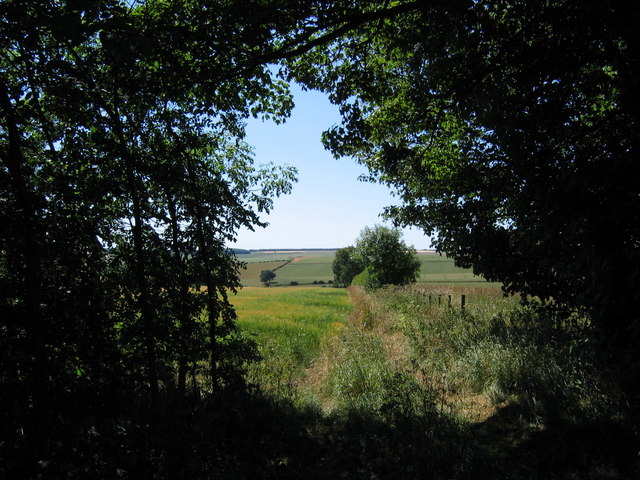 File:Footpath South - geograph.org.uk - 203388.jpg