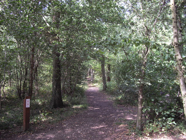 Footpath into Wolves Wood RSPB Reserve - geograph.org.uk - 1464335