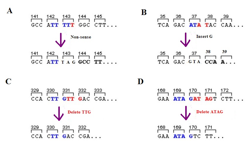 deletion mutation effects