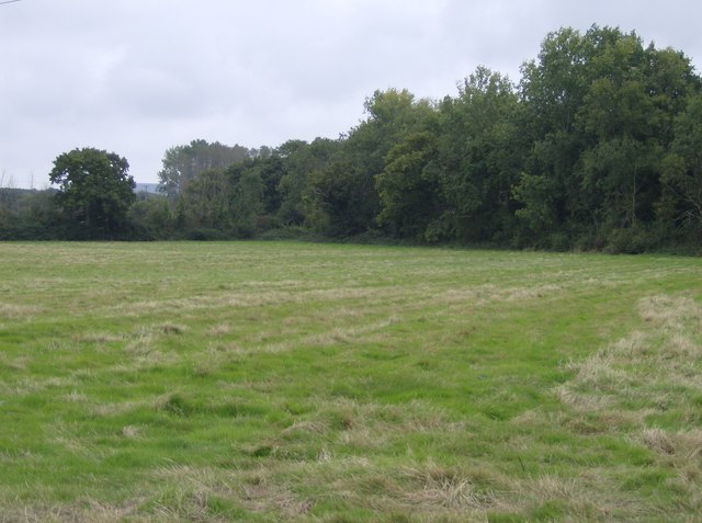 File:Grassland south of Yarmouth Road - geograph.org.uk - 570648.jpg