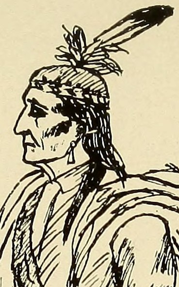 An illustration of an indigenous American man with a feather in his hair