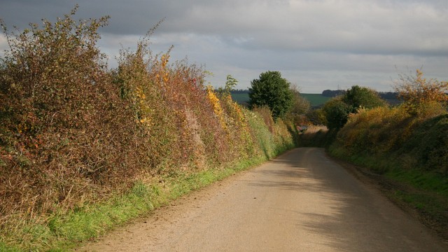 File:Hawking Lane - geograph.org.uk - 604243.jpg