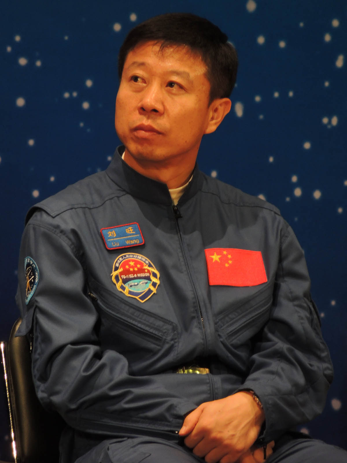 Wang in 2012