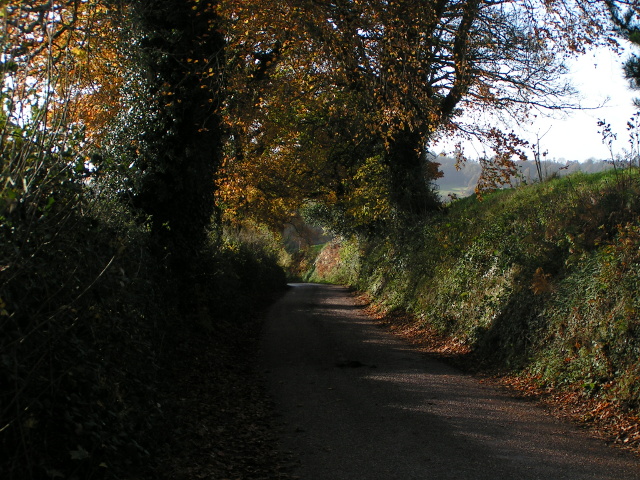 File:Lane to Silverton Mill - geograph.org.uk - 1589069.jpg