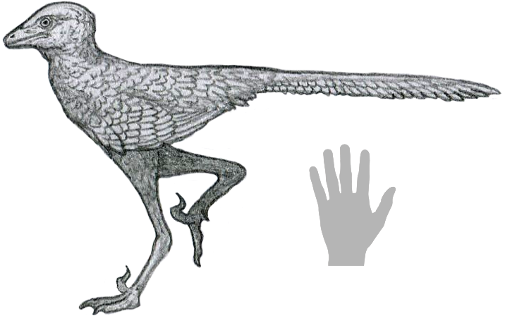 Liaoningvenator.png