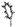 Linear glyph AB79.png