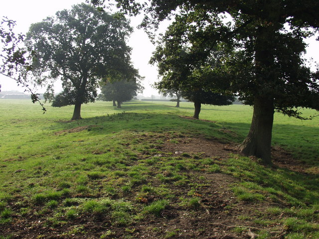 File:Llwybr Clawdd Offa (Offa's Dyke Path) - geograph.org.uk - 579151.jpg